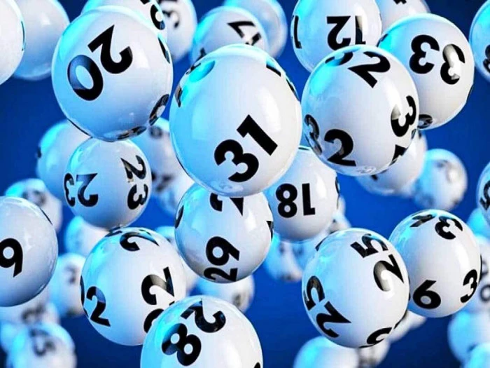 Trực Tiếp Đá Gà Thomo: Cập Nhật Mới Nhất Hôm Nay